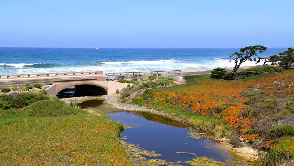Carlsbad_CA_Coast_MariMaids_HouseCleaning3